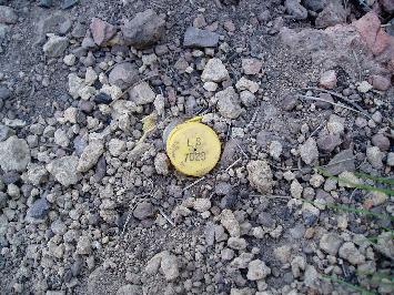 SURVEYORS TAG2